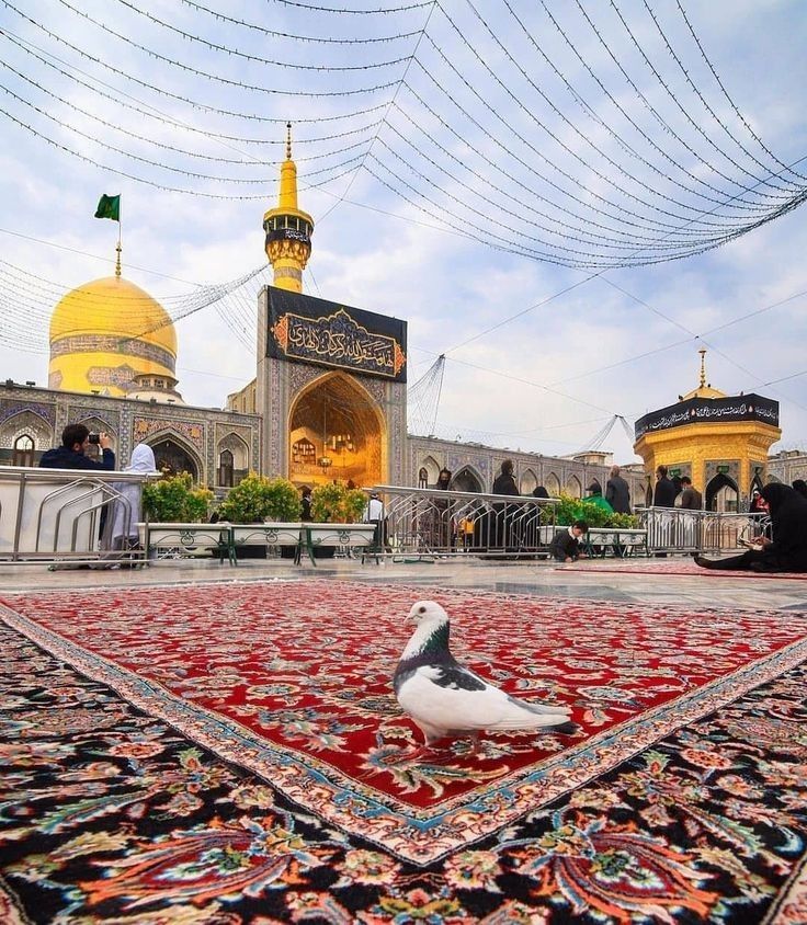 Imam Ali Shrine Iraq